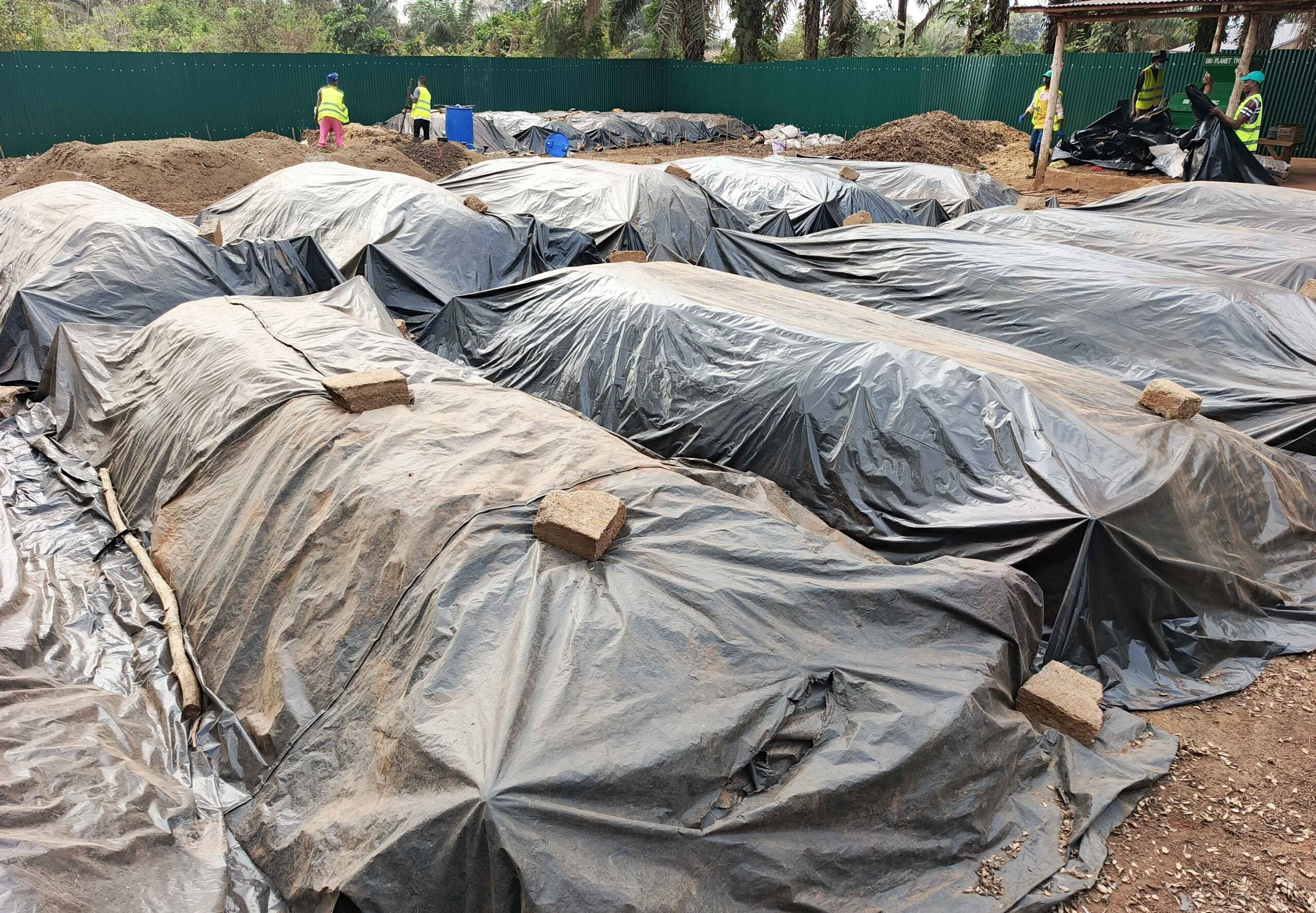 Bioplanettmc_pic (14)