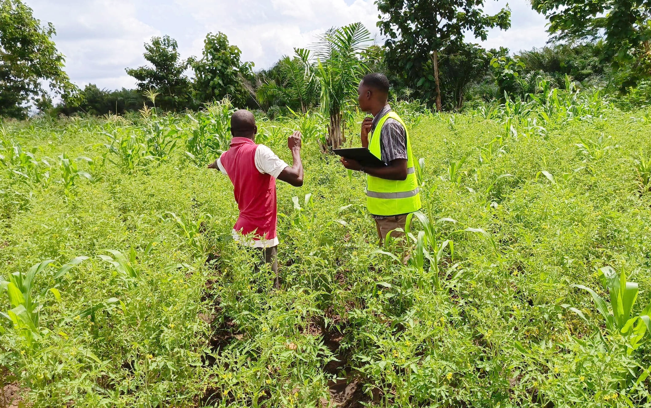 Bioplanettmc_pic (18)