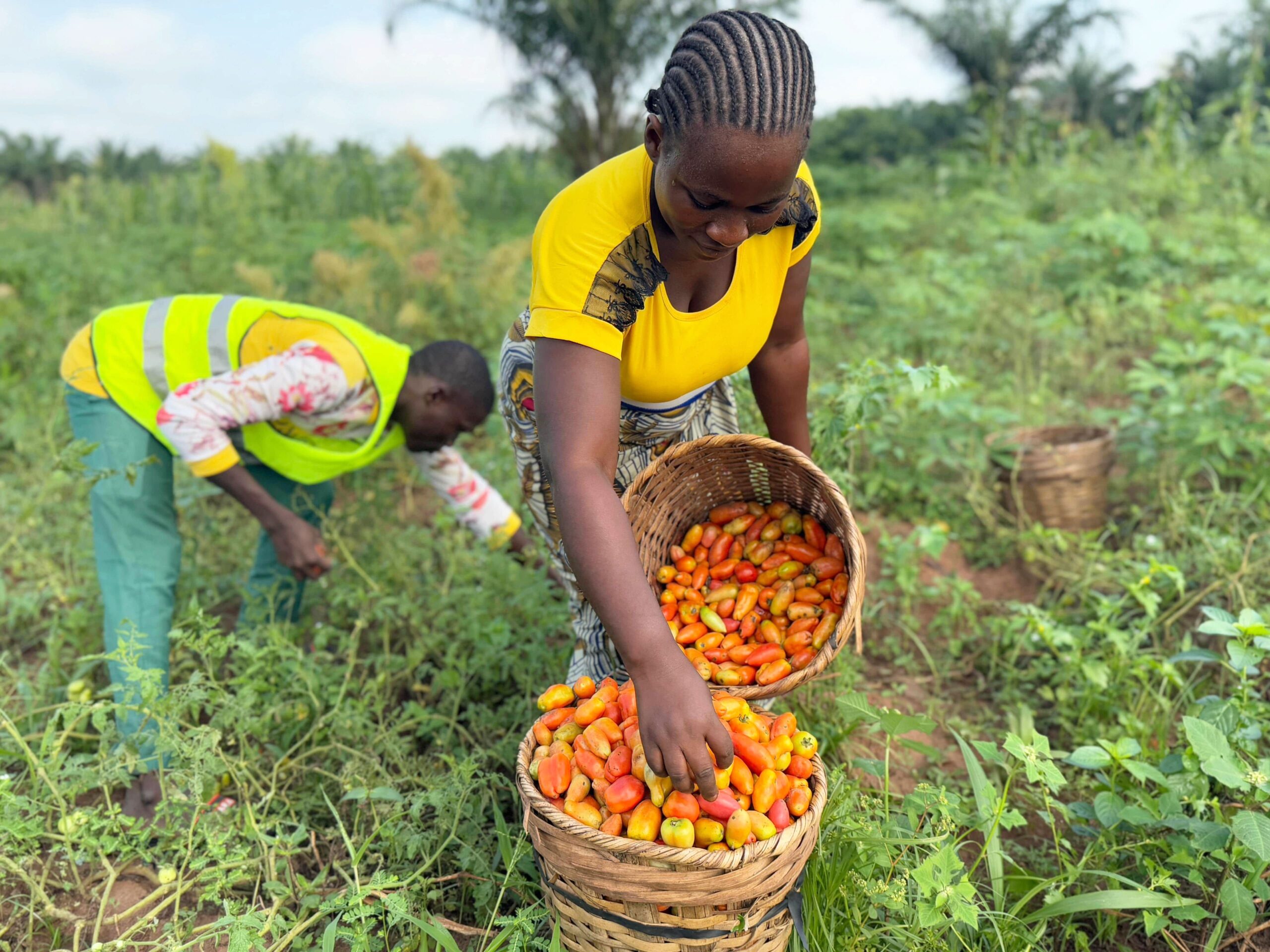 Bioplanettmc_pic (19)