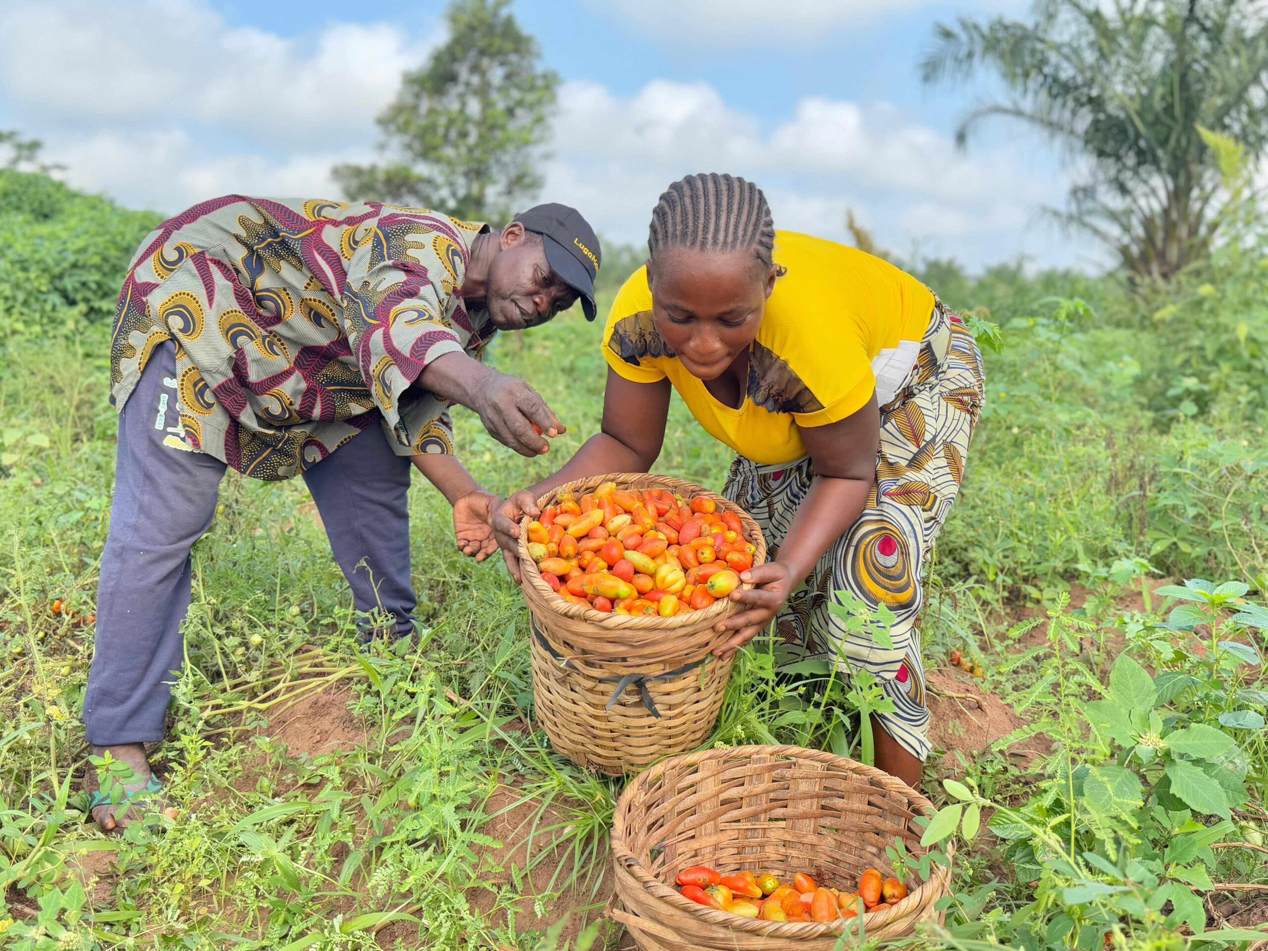 Bioplanettmc_pic (21)