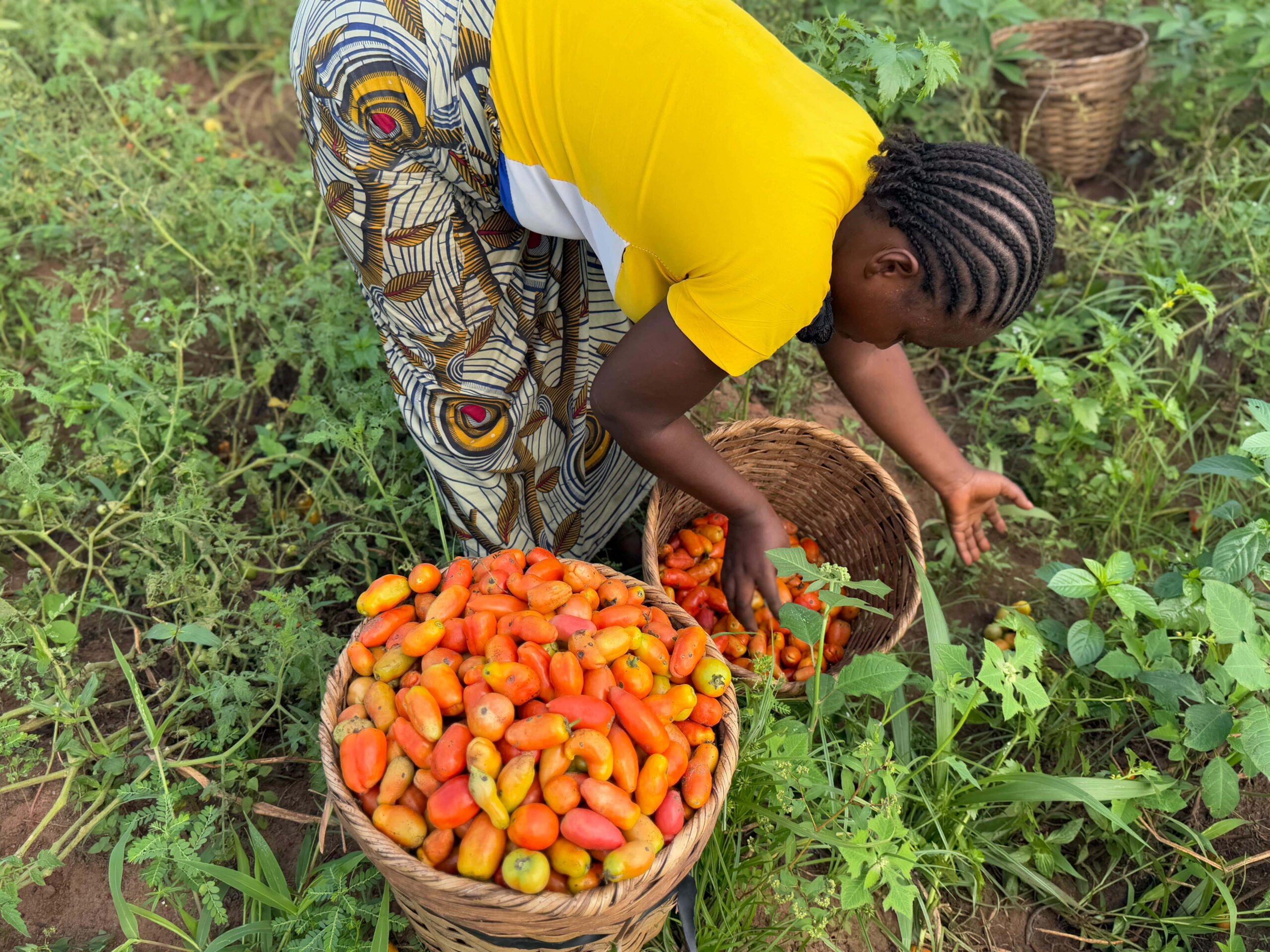 Bioplanettmc_pic (22)