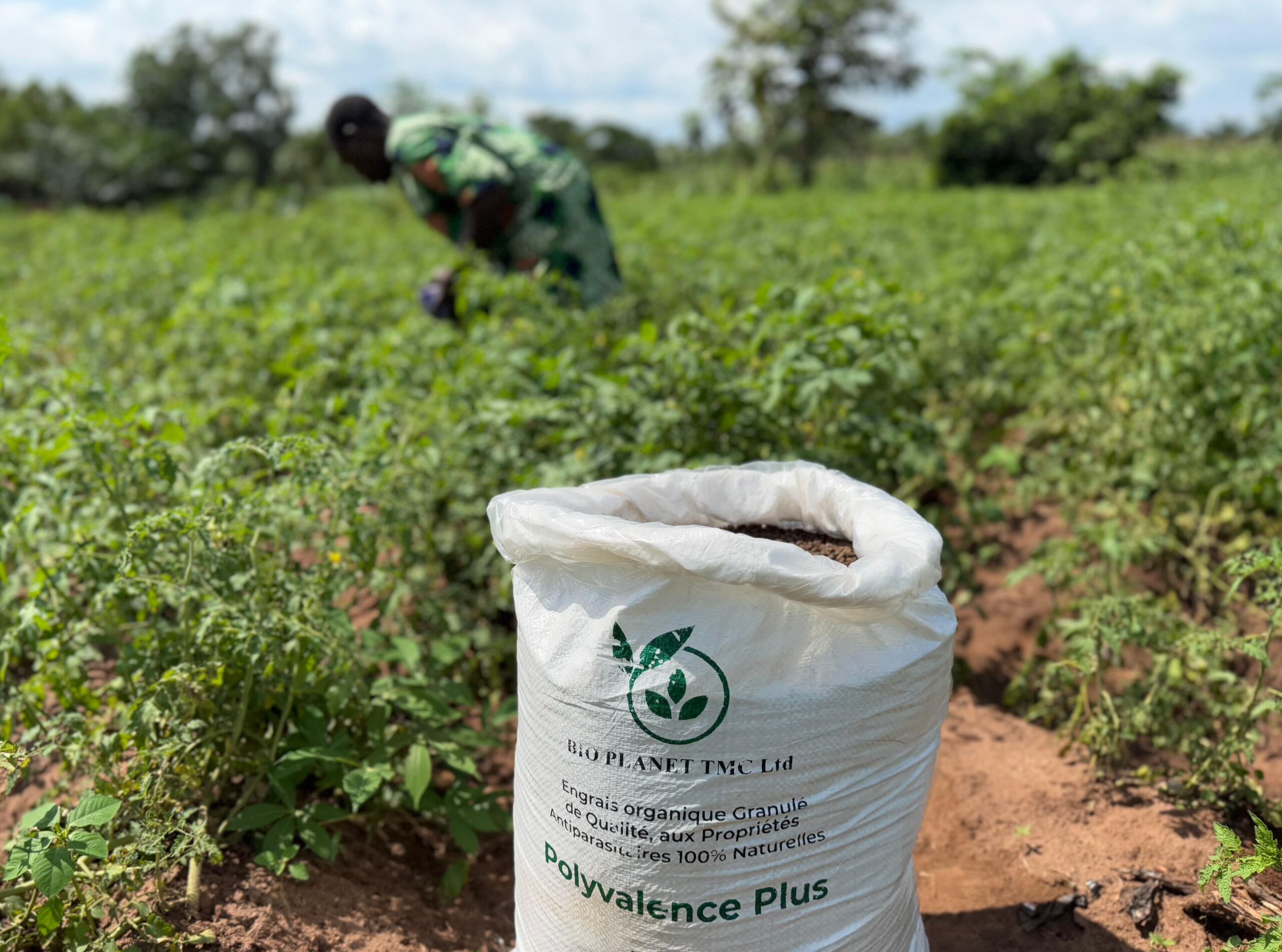 Bioplanettmc_pic (25)