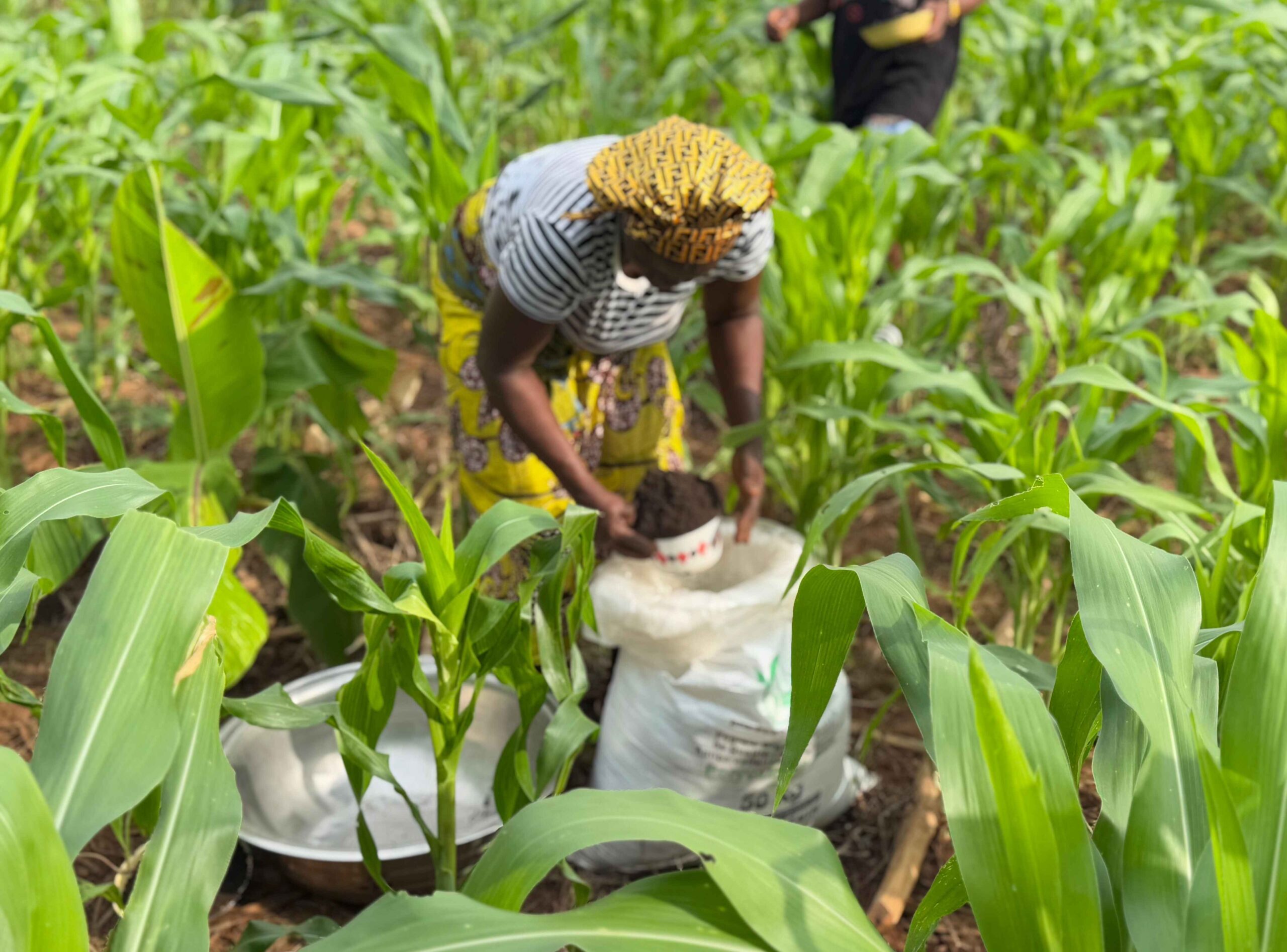 Bioplanettmc_pic (30)