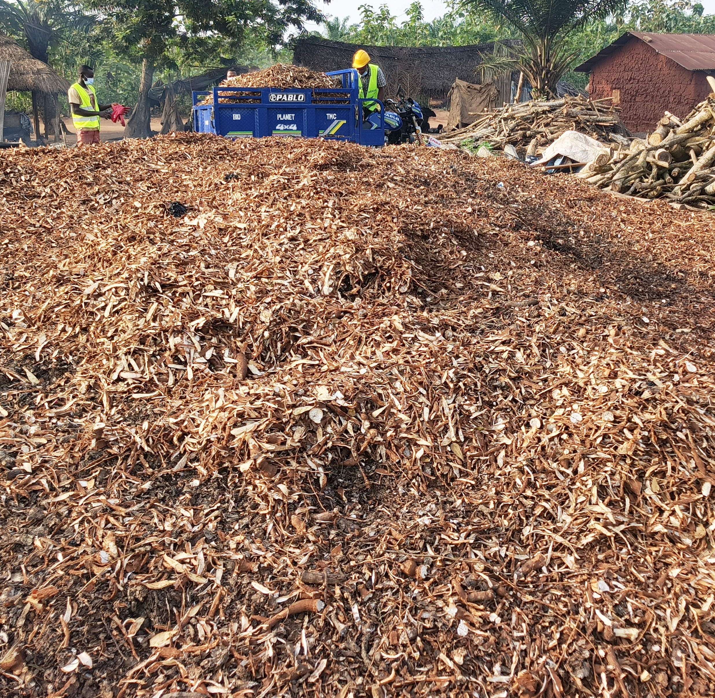 Bioplanettmc_pic (31)