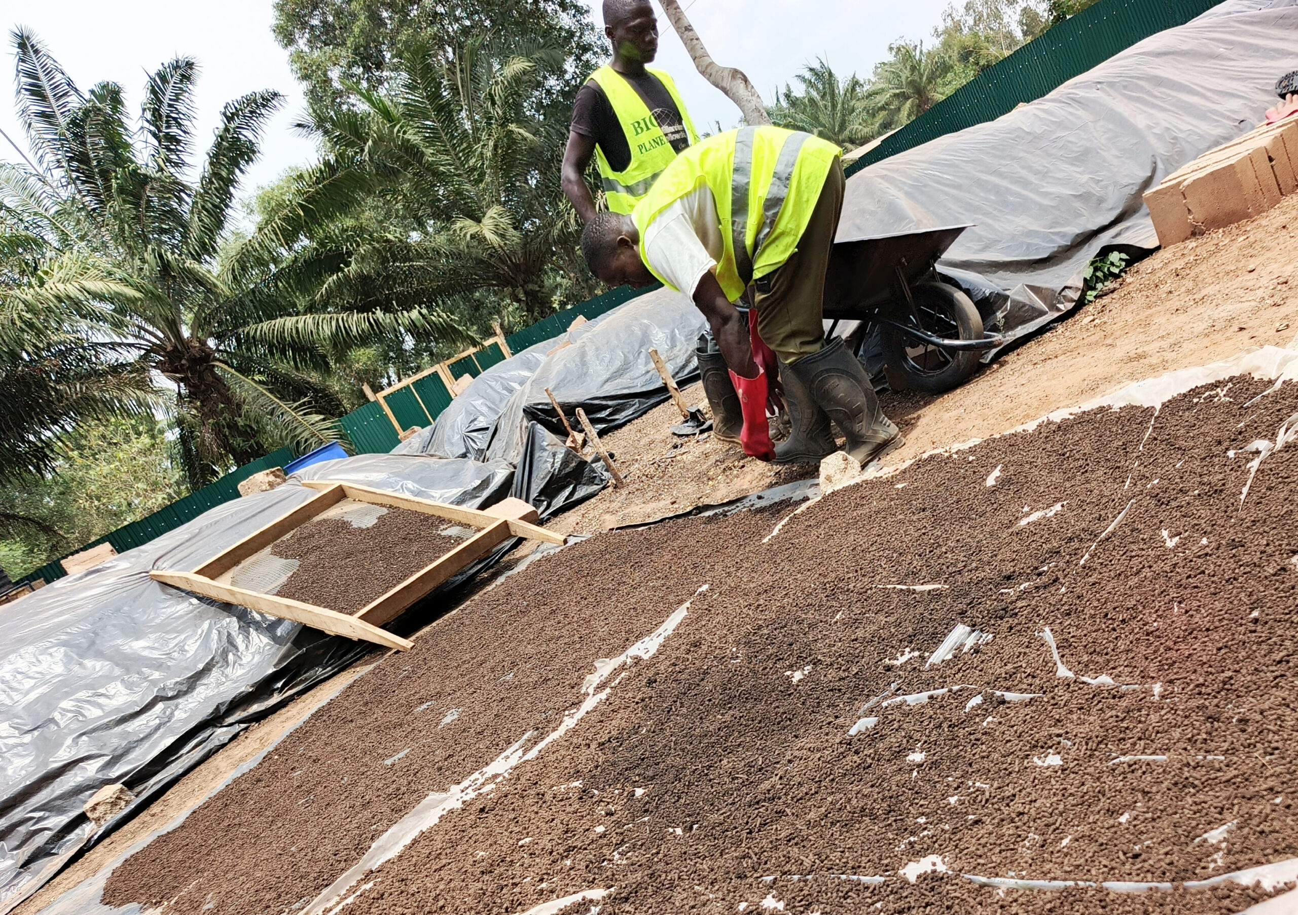 Bioplanettmc_pic (32)