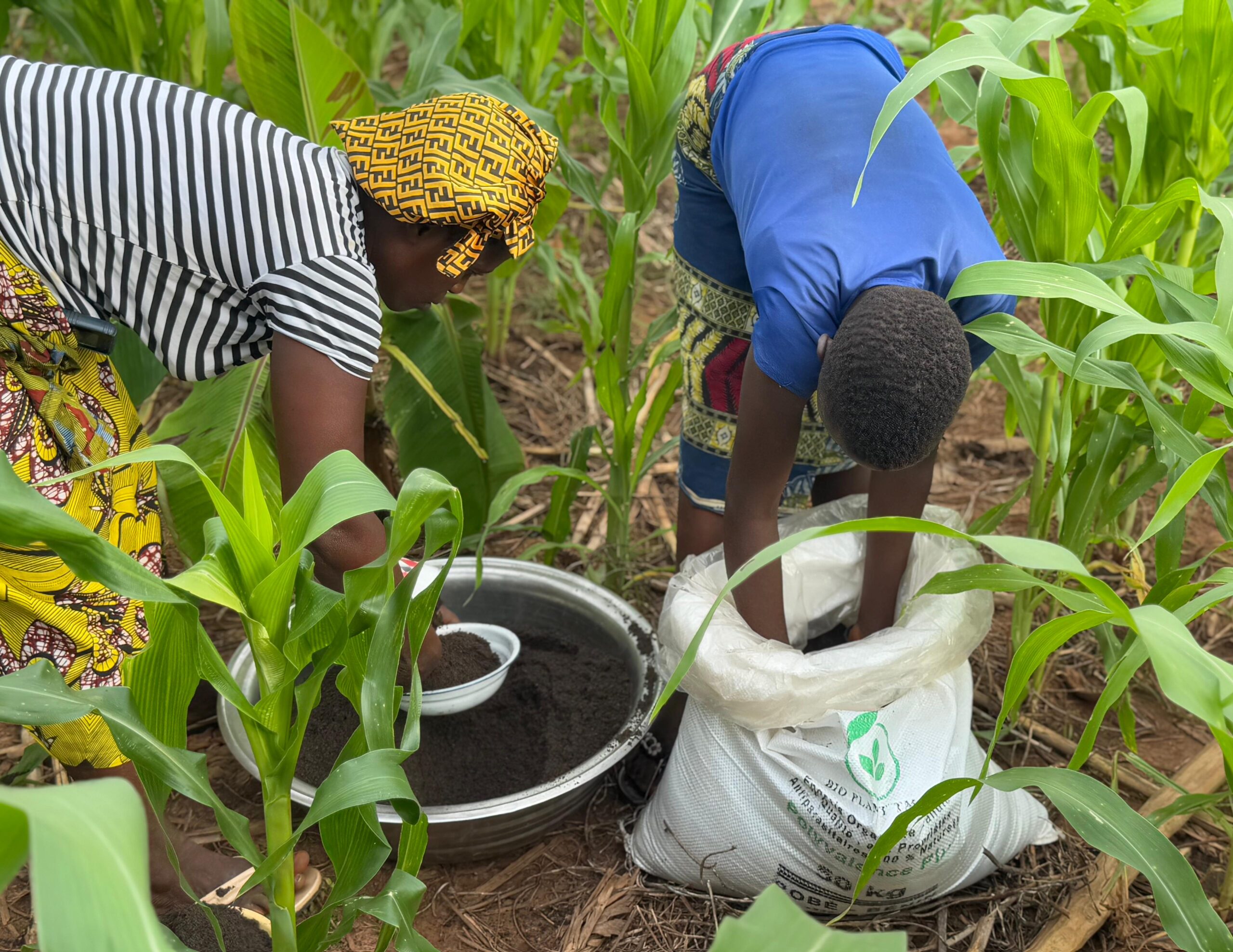 Bioplanettmc_pic (34)