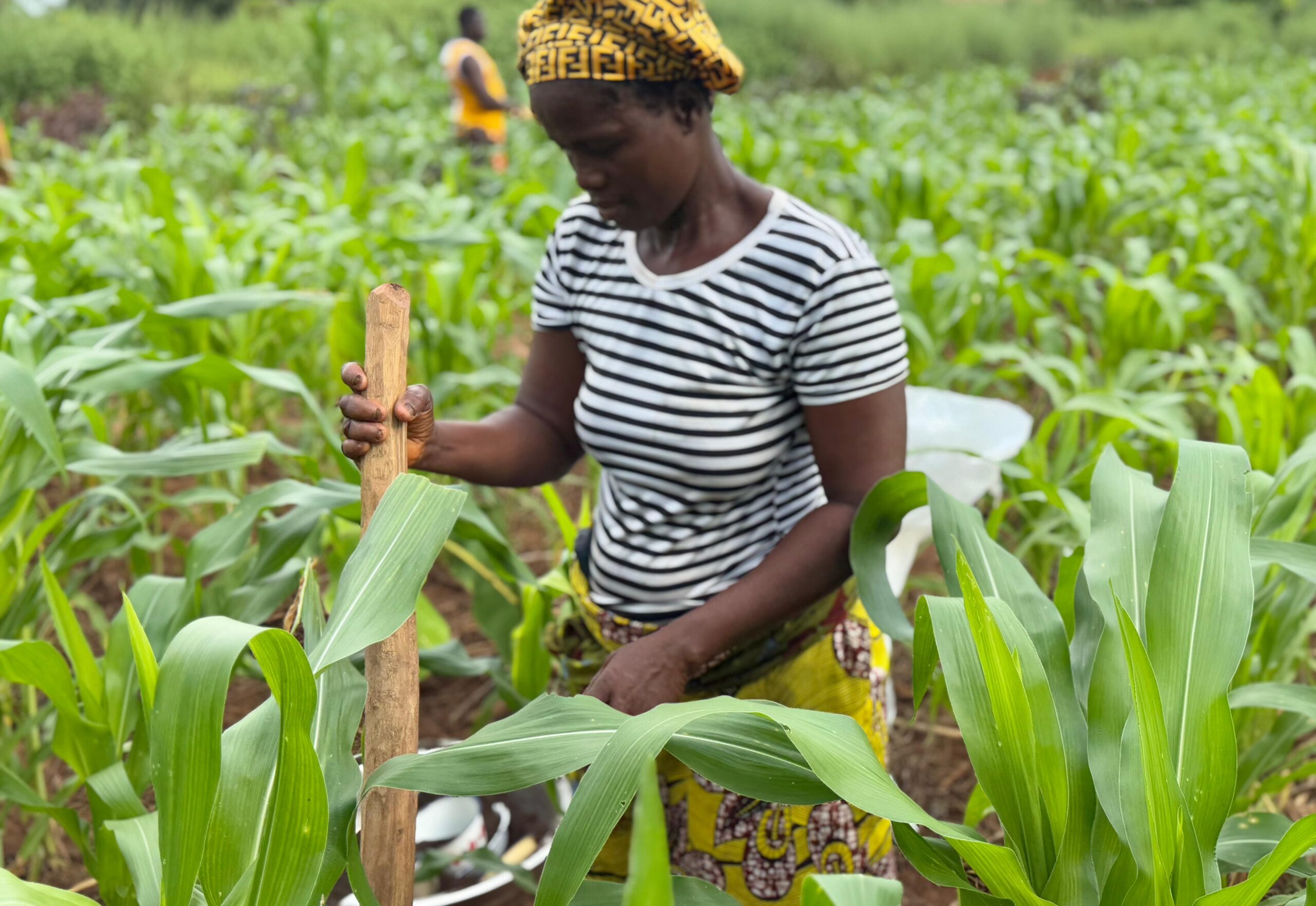 Bioplanettmc_pic (35)