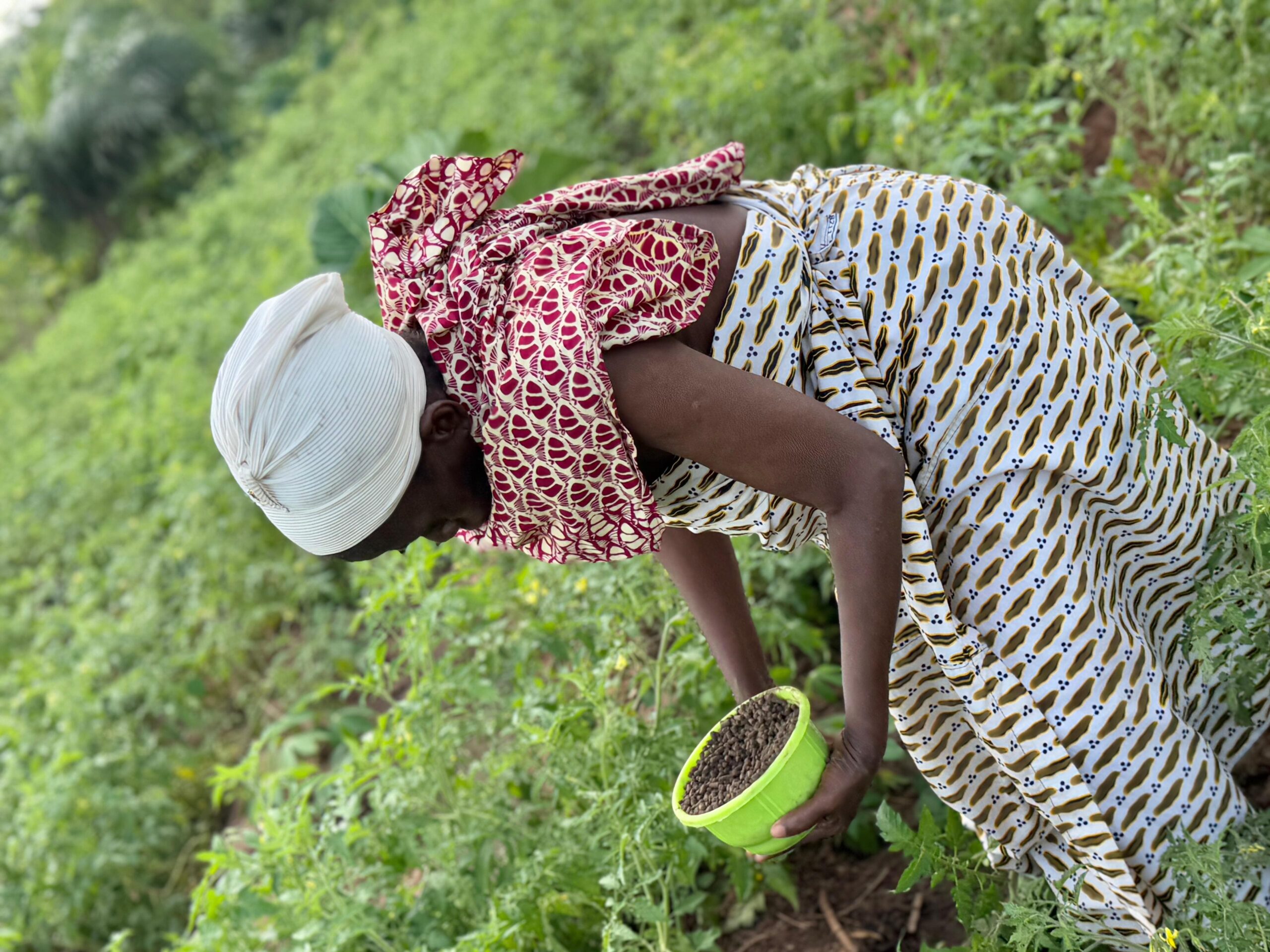 Bioplanettmc_pic (36)