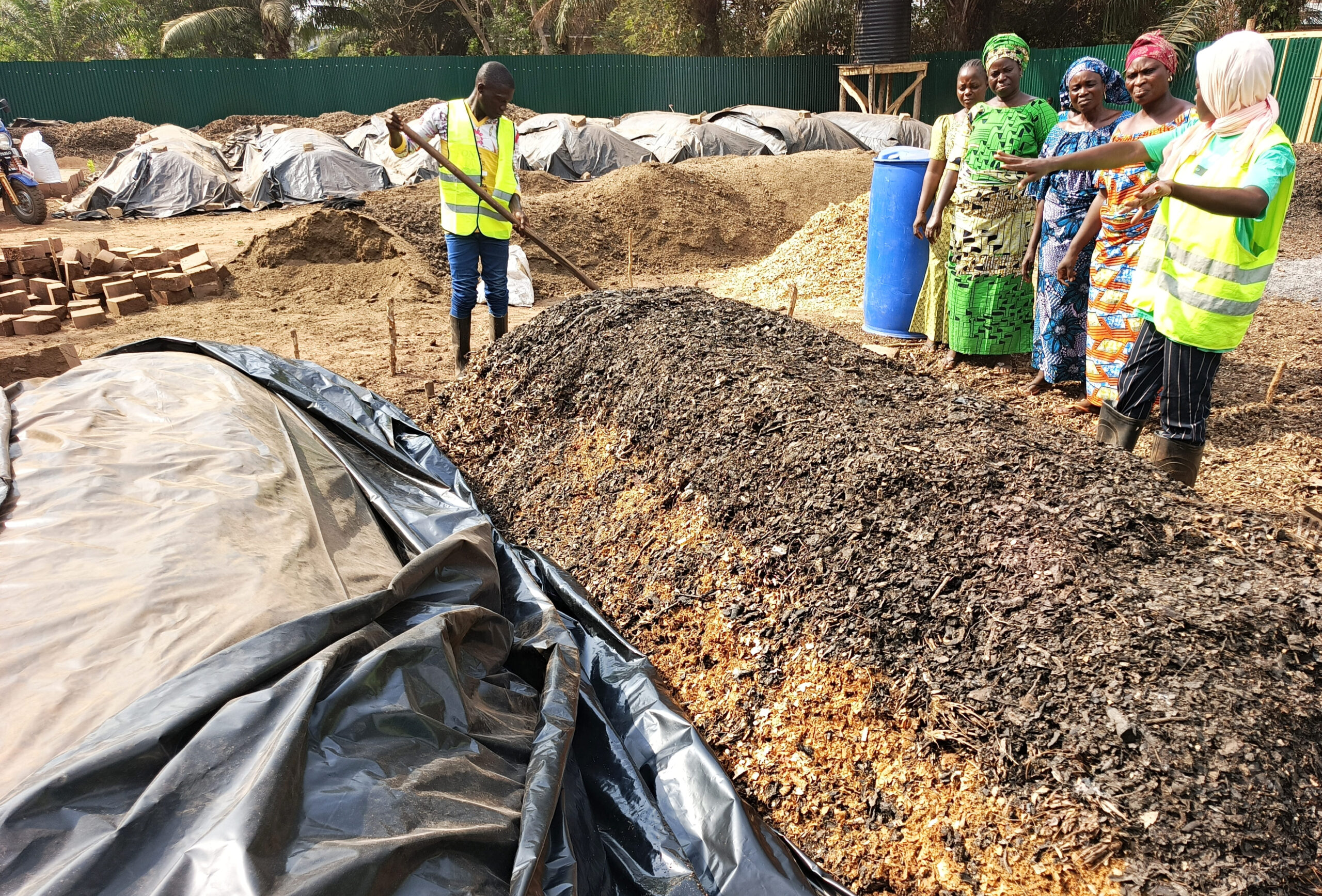 Bioplanettmc_pic (38)