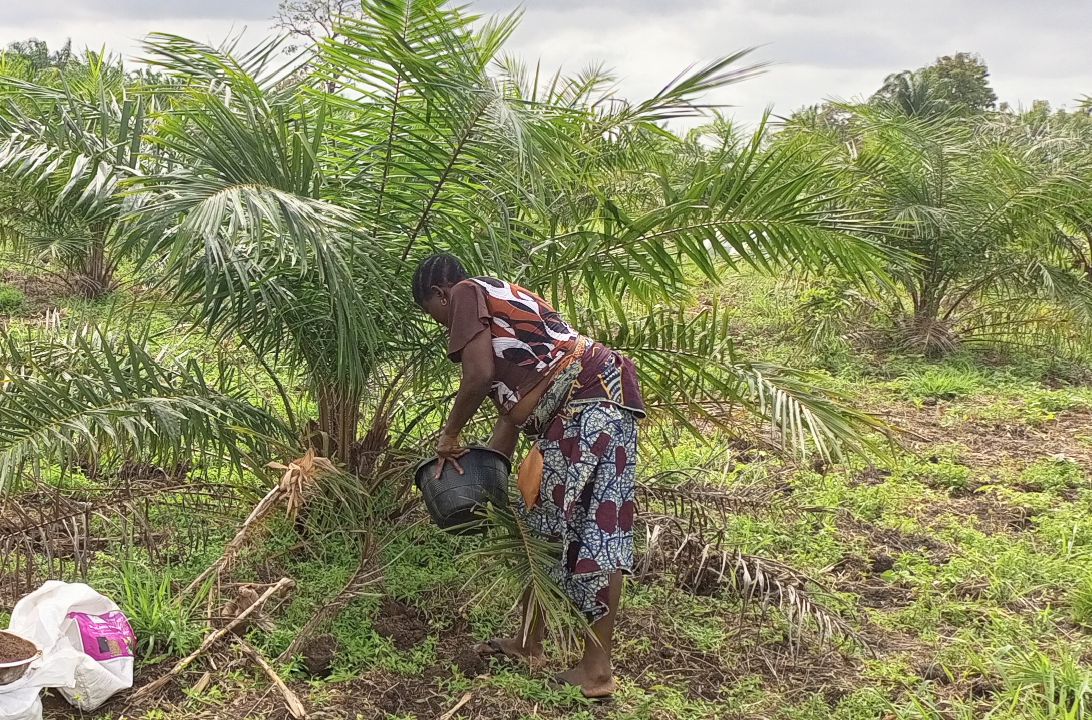 Bioplanettmc_pic (39)