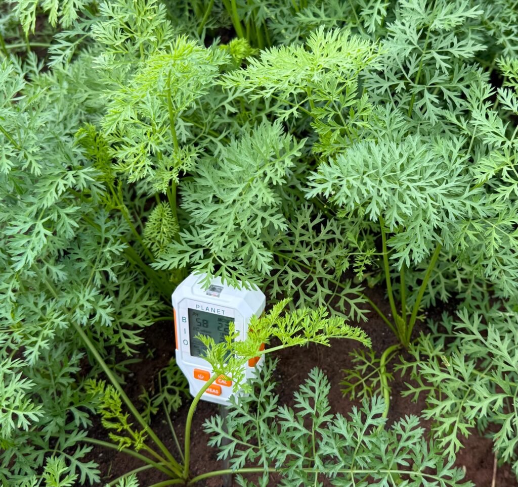 Diagnostic numérique des sols par BIO PLANET TMC